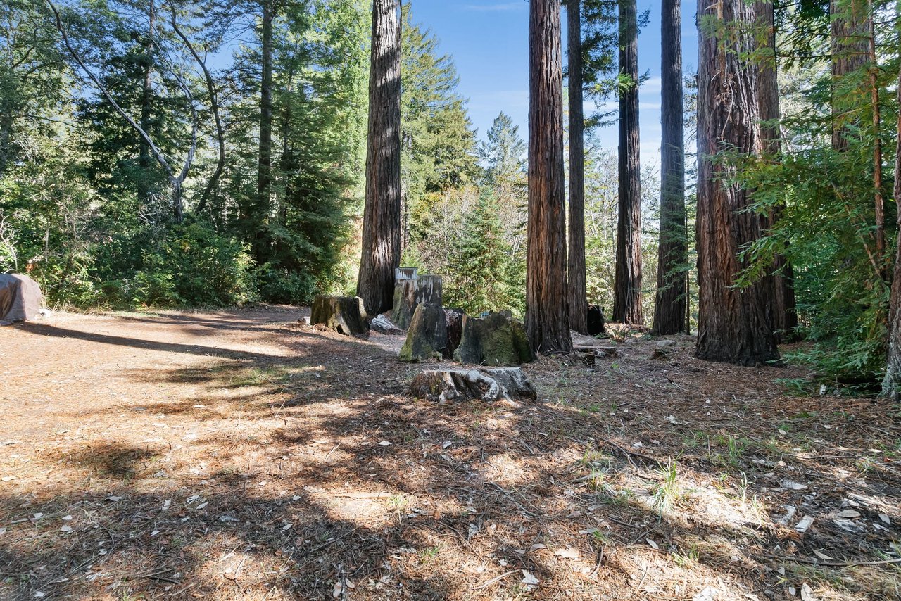 6121 Fern Flat Road