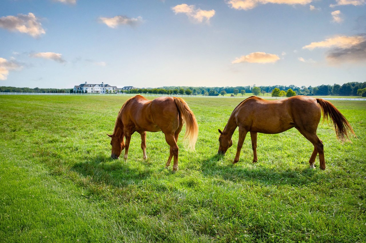 7 Yearling Path