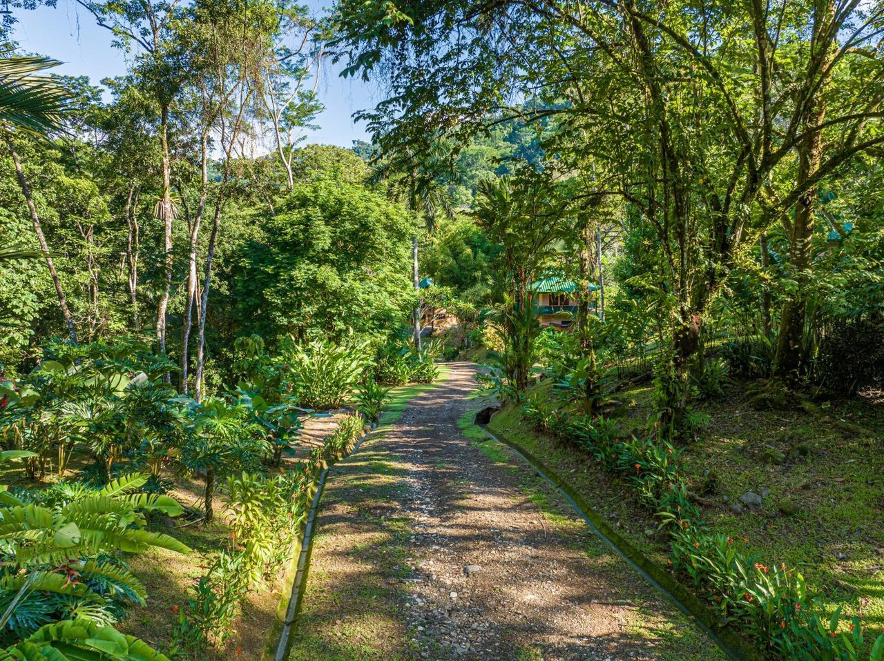 Uvita, Jungle Retreat Center on the Uvita River. Private and 17 Acres