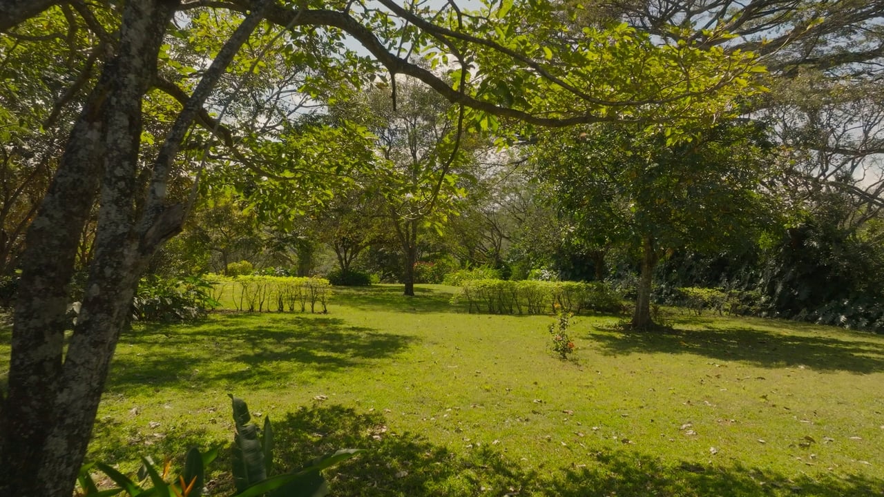 Prime Development Land for Sale La Guacima, Guacima, Alajuela