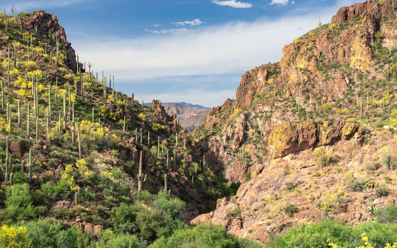 Catalina Foothills