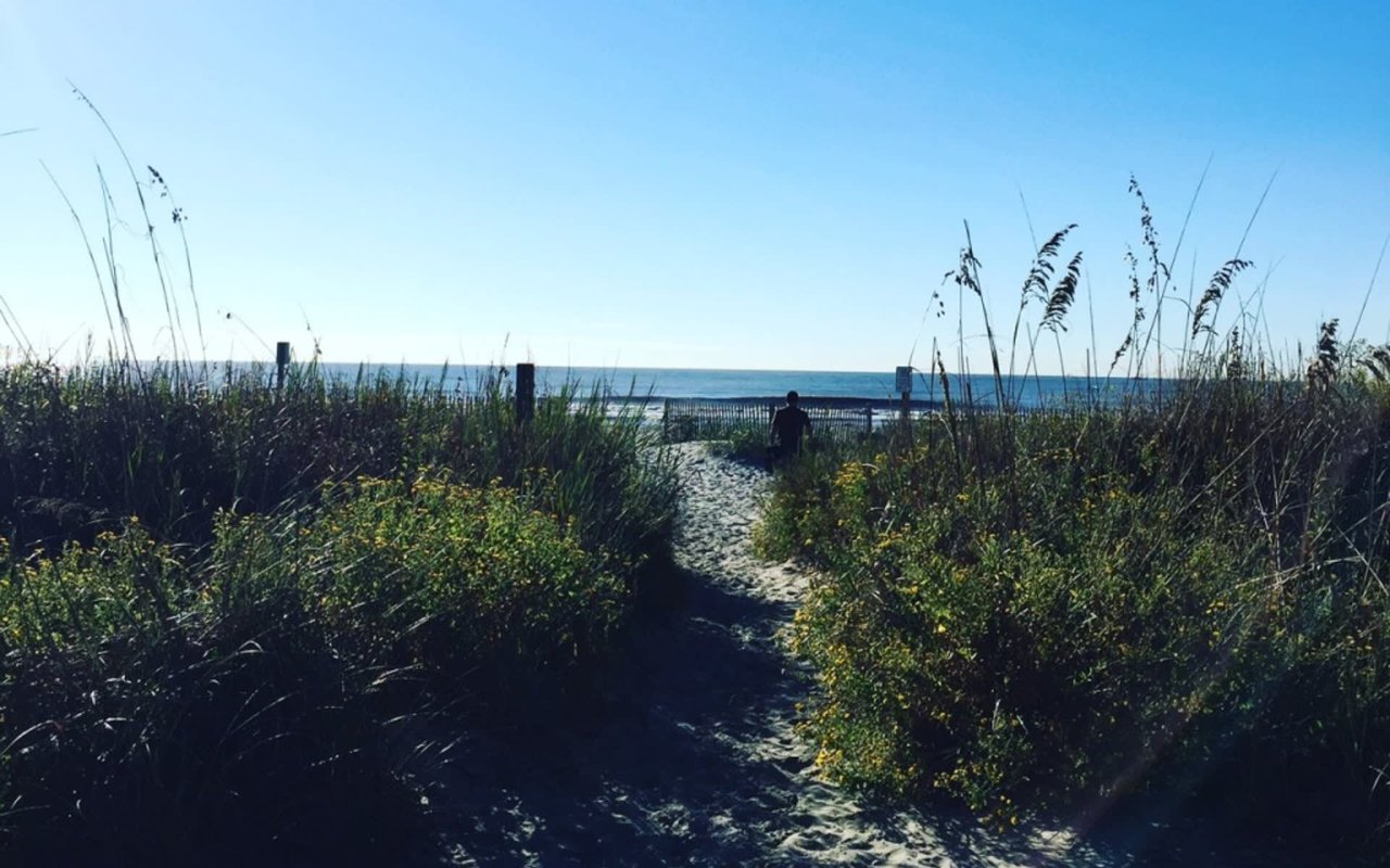 Adventures in Folly Beach