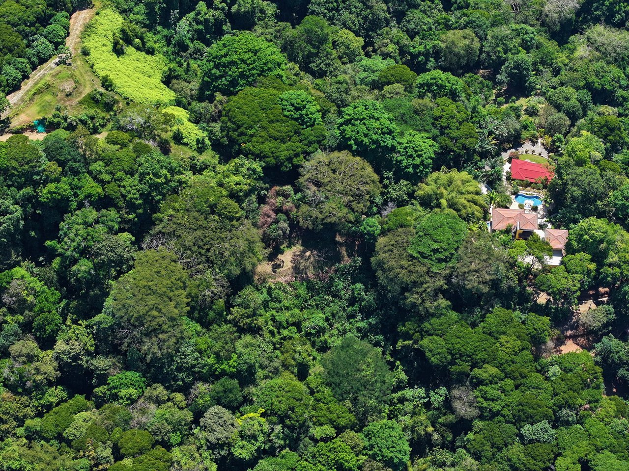 Unveil Paradise: Your Dream Homesite Awaits in Dominical, Costa Rica