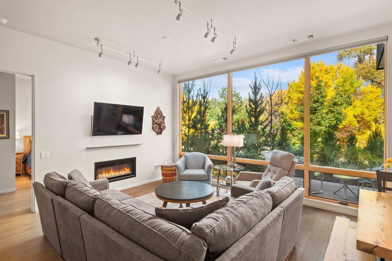  Tastefully Decorated Park Modern Condo in Basalt 