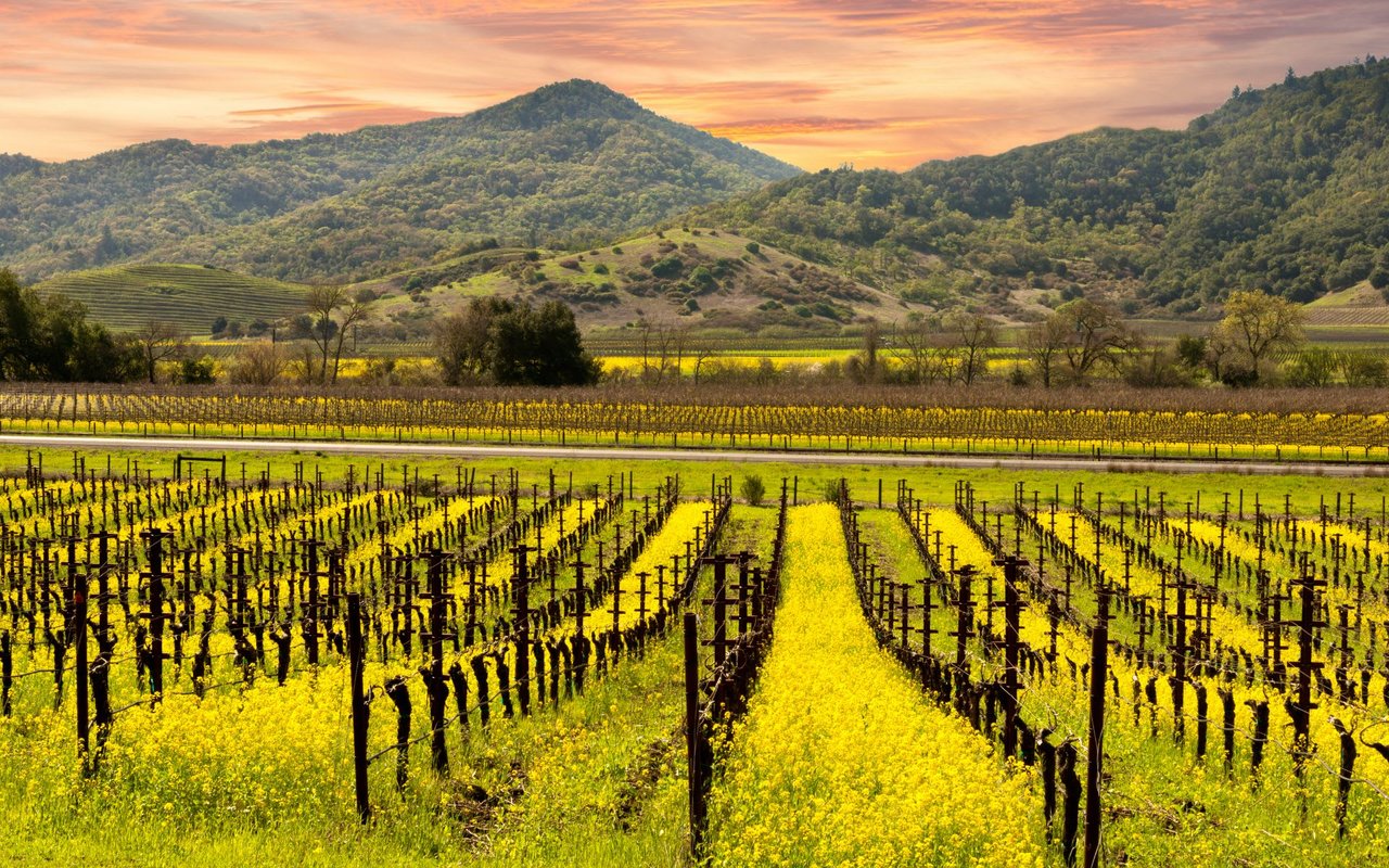 Yountville