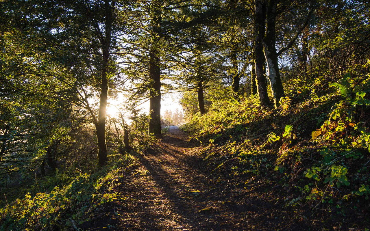 Portola Valley