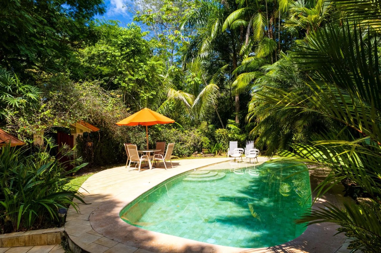 Private Oceanview Jungle Estate, Dominical, Puntarenas