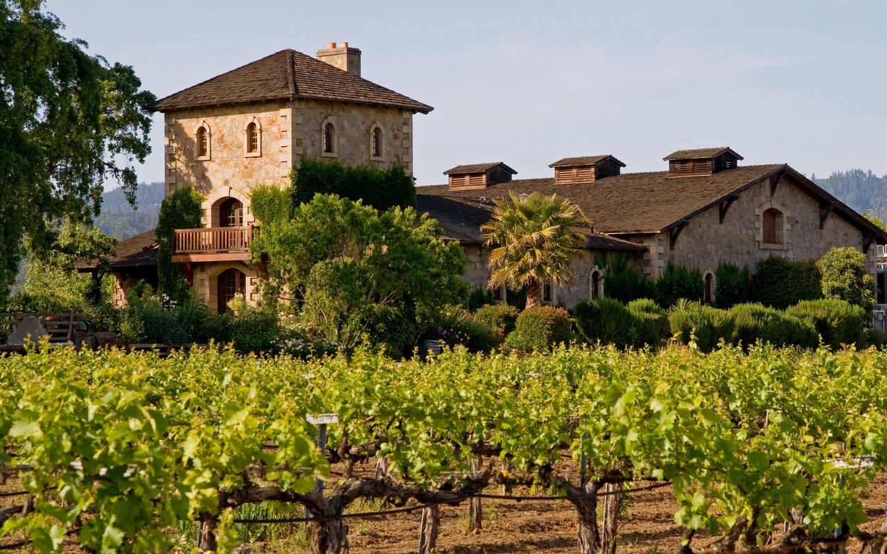 A large stone house with a brown tile roof. In the foreground, there’s a vineyard with rows of grape vines.