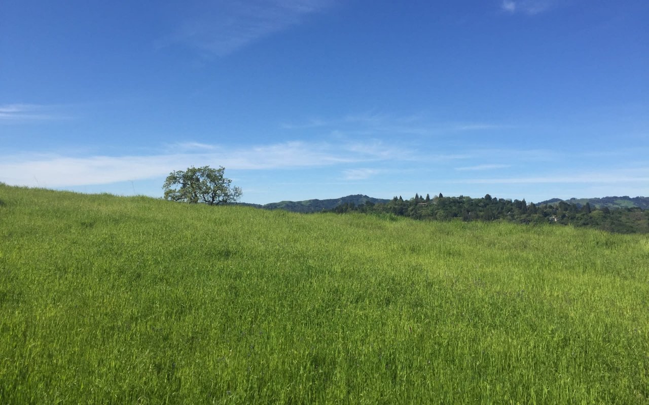 Build Your Dream Home in Lafayette’s Happy Valley Glen Neighborhood