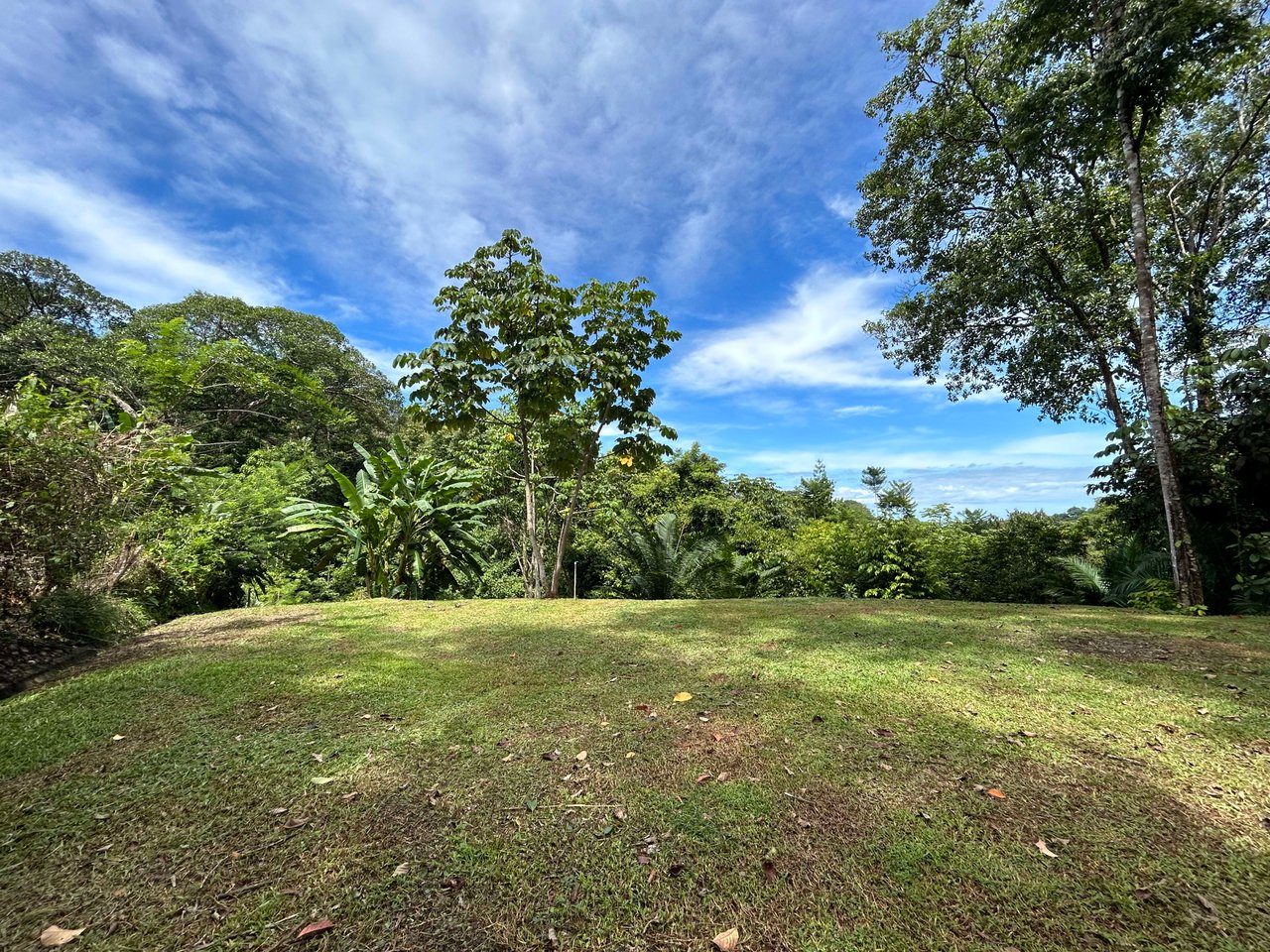 Secret Paradise Property in Altos de la Colonia