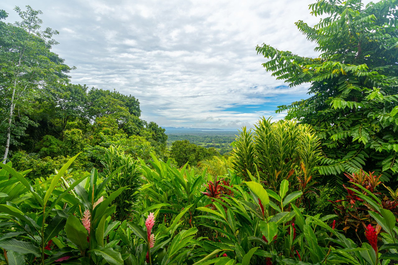 Modern Oceanview Infinity Pool Estate, Ojochal, Puntarenas