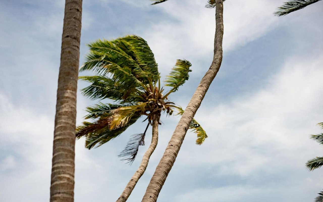 Navigating Hurricane Insurance: A Guide for Pinellas County Homeowners