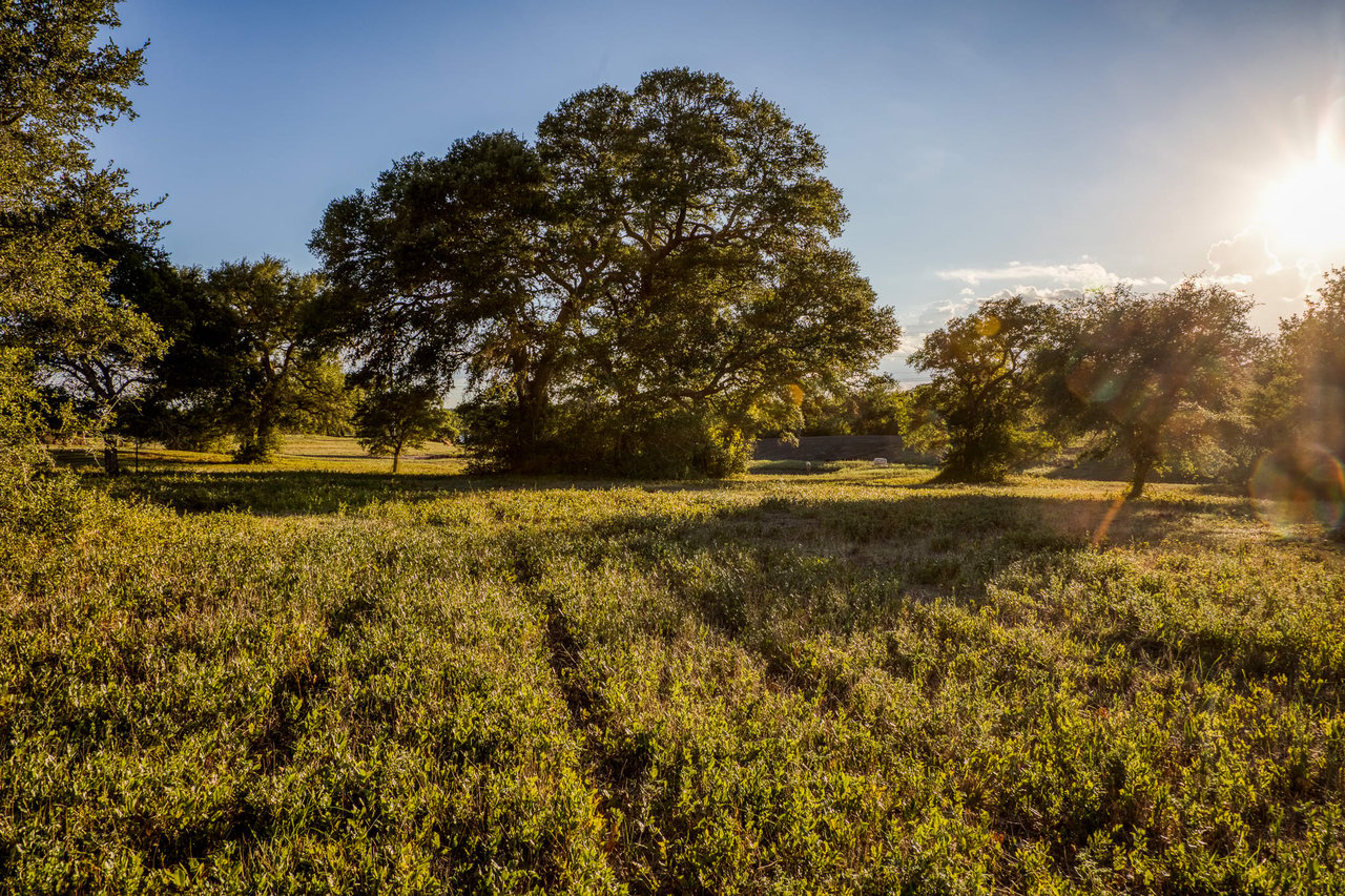 Oaks at Round Top- Tract 3