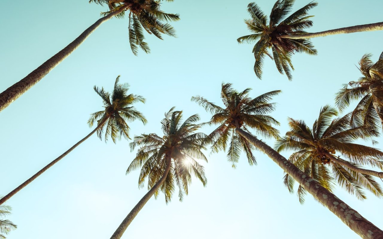 Lately | The New Rules of Real Estate