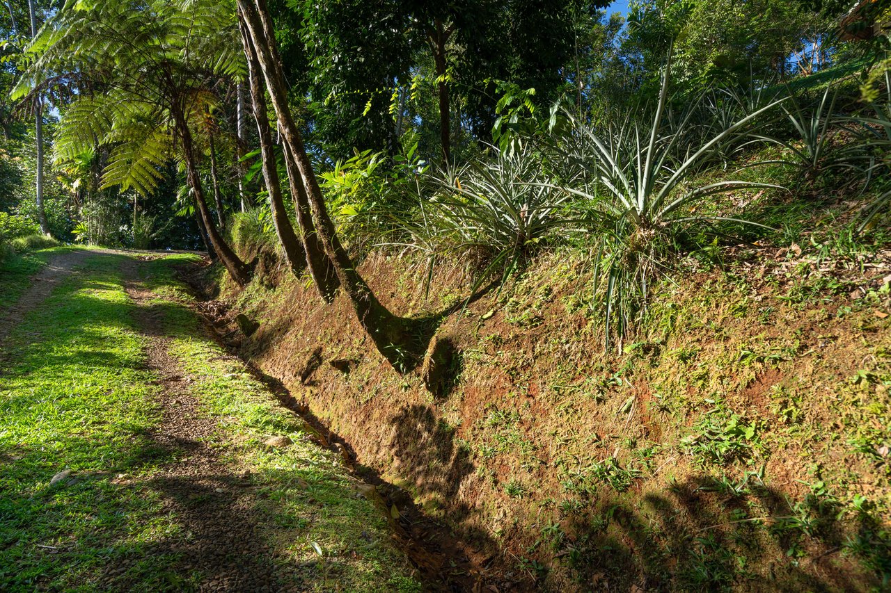 Los Nubes, Luxurious Natural Energy Resort