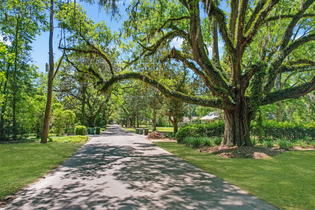 Live Oak Plantation - Piedmont