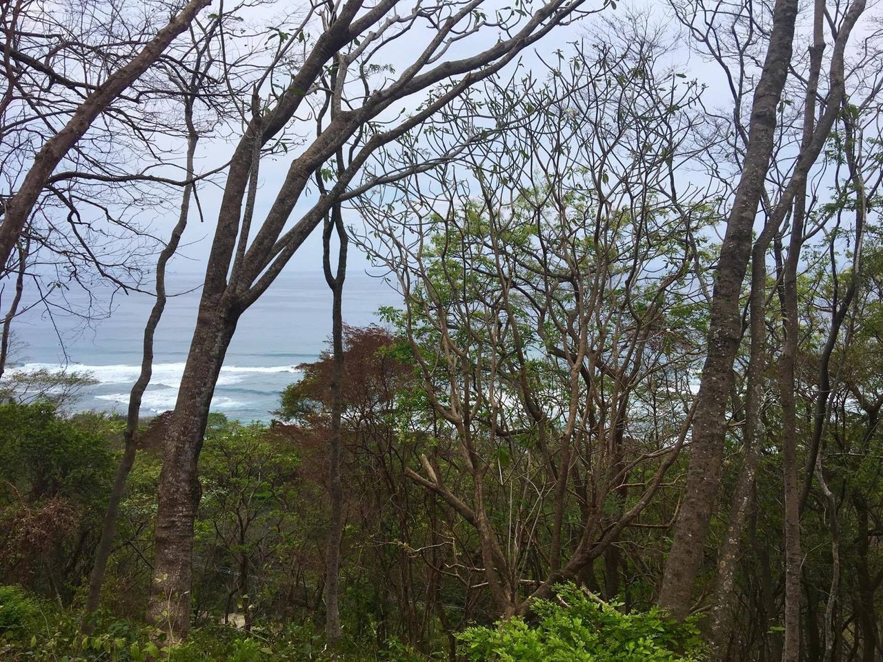 Commercial Ocean View Lot, Santa Teresa, Puntarenas