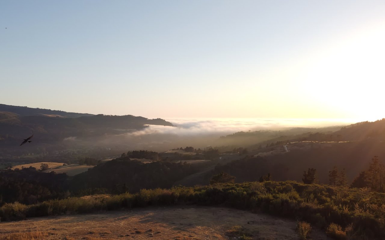 Everything You Need to Know About Moving to Carmel Valley