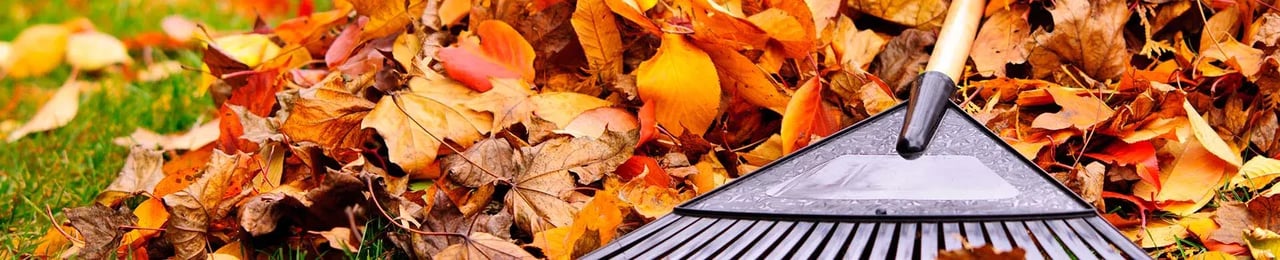 Ultimate Fall Home Maintenance Checklist
