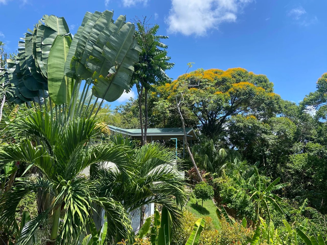 Gated Multi Unit Rental Estate, Manuel Antonio, Puntarenas
