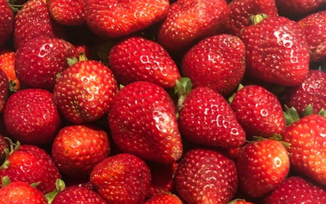 Fresh Finds: My Favorite Farmers' Markets in Santa Barbara