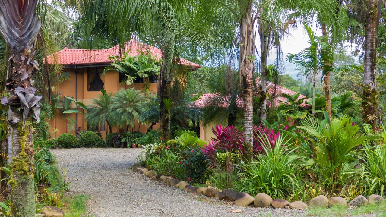 Stunning Tropical Home in Gated community with Hundreds of fruit trees  