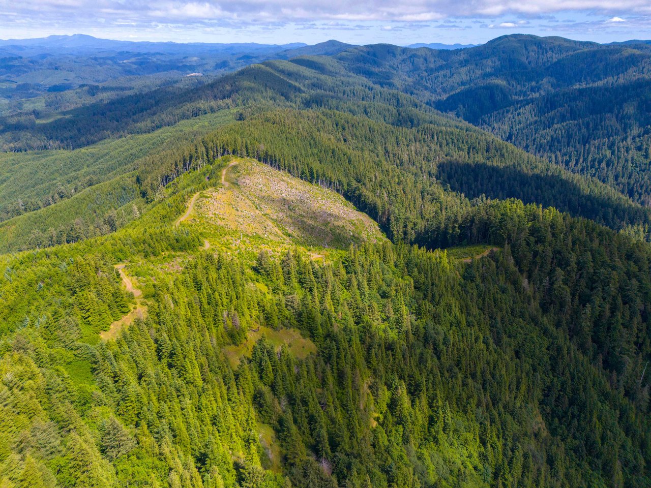 Cummins Creek Wilderness Overlook