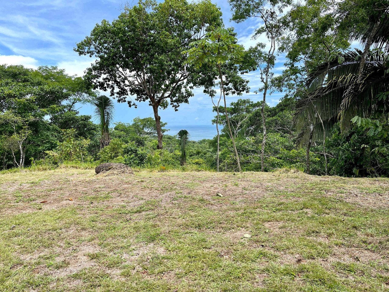 2.4 ACRES – Ocean View Lot With Creek Sorrounded By Rainforest In Gated Community!!