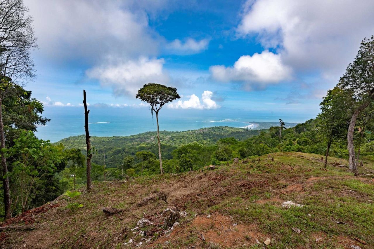 Rare Opportunity: Pristine 16-Acre Oceanview Sanctuary for Exclusive Development in Uvita