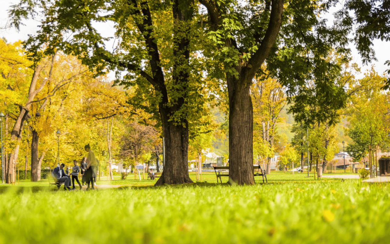 A Guide to Friendswood Parks