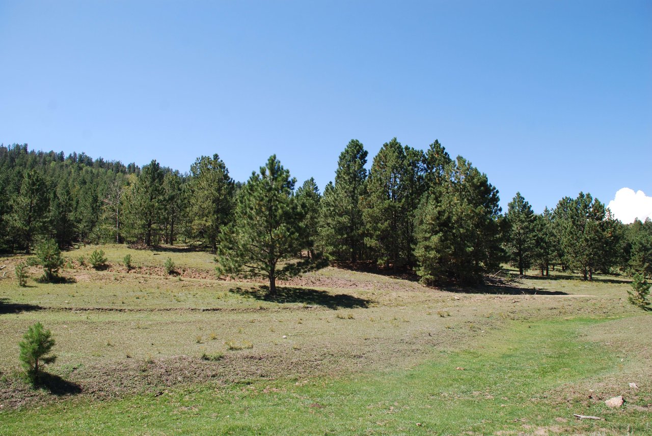 Elk Mountain Ranch