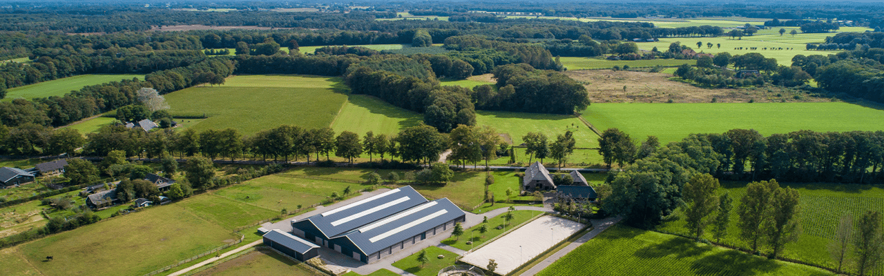 Horses for Courses: 6 Exceptional Equestrian Estates Around the World