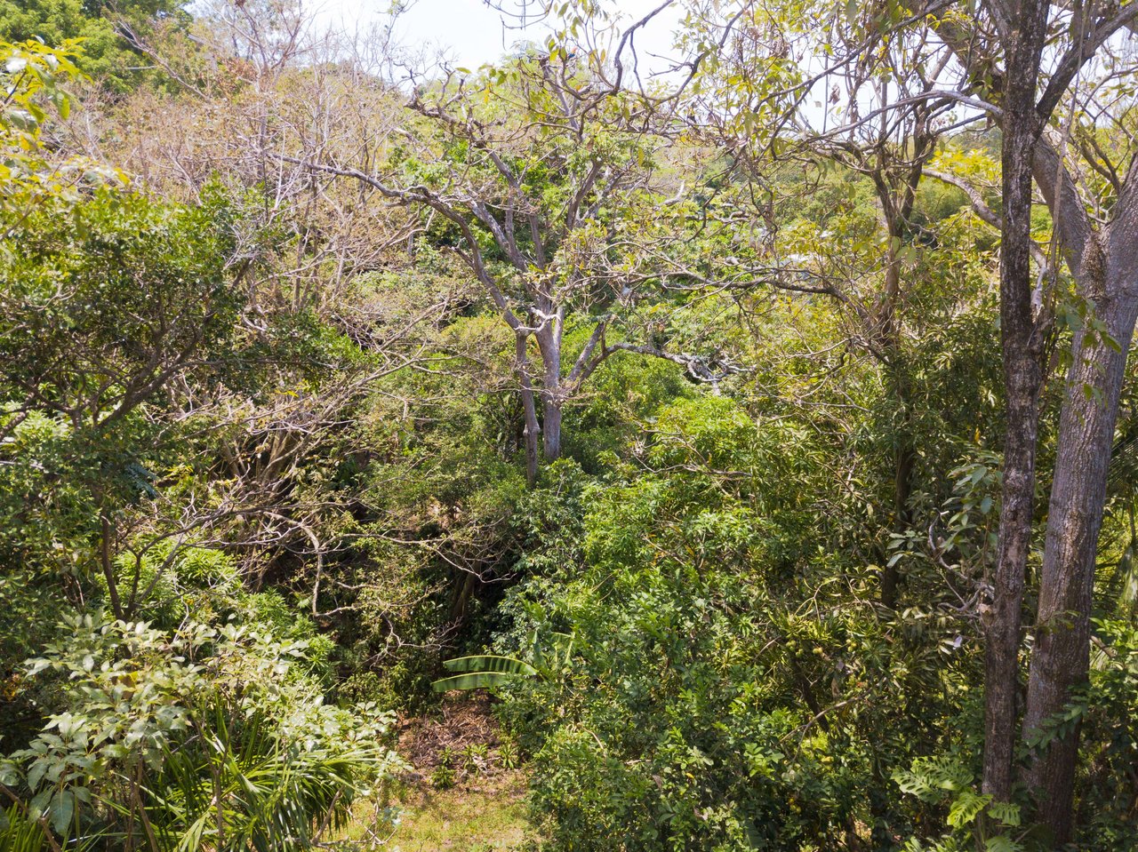 2 Suite Apartment Villa in the heart of Manuel Antonio