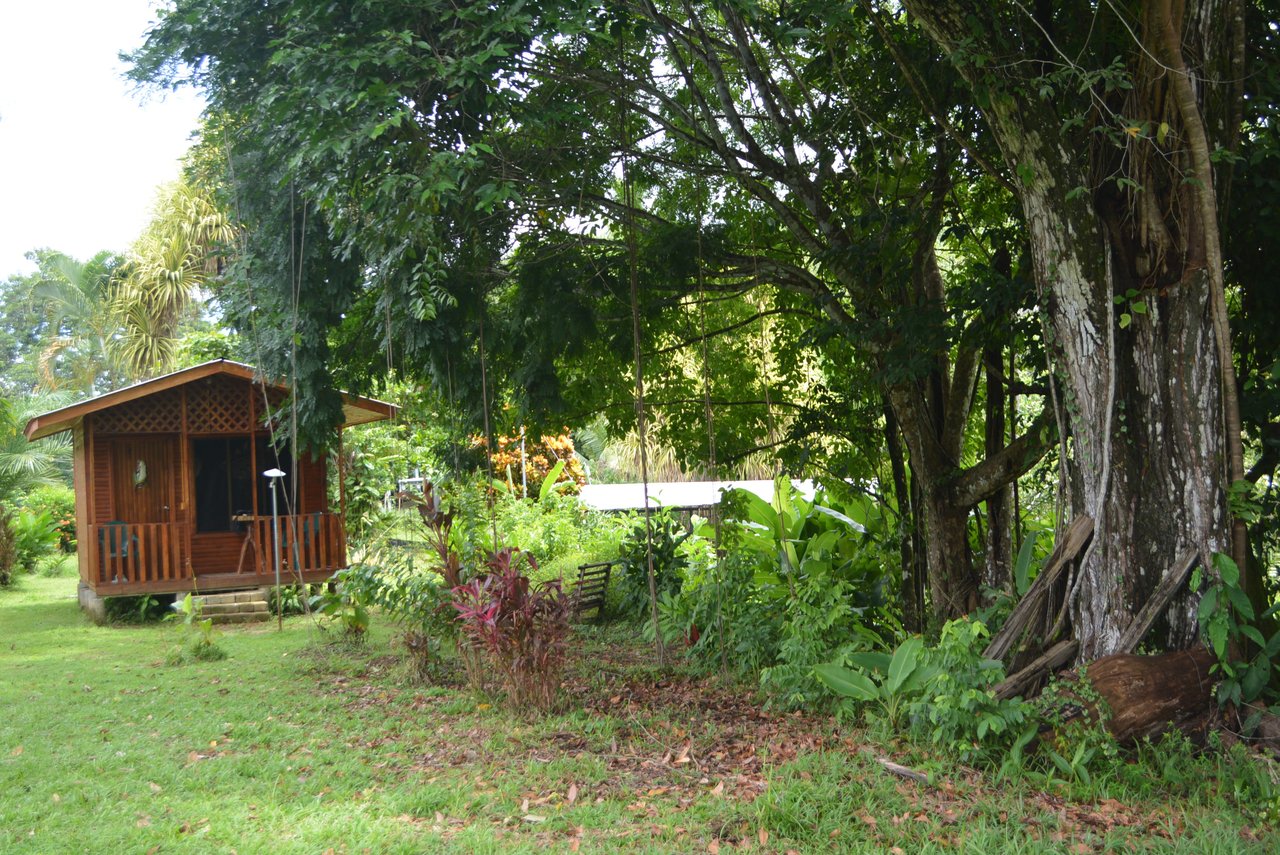 10 Acre Rio Sierpe Paradise Residential And Cabinas