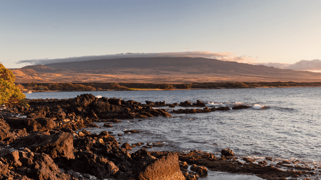 Hidden Real Estate Gems Found in Paradise!