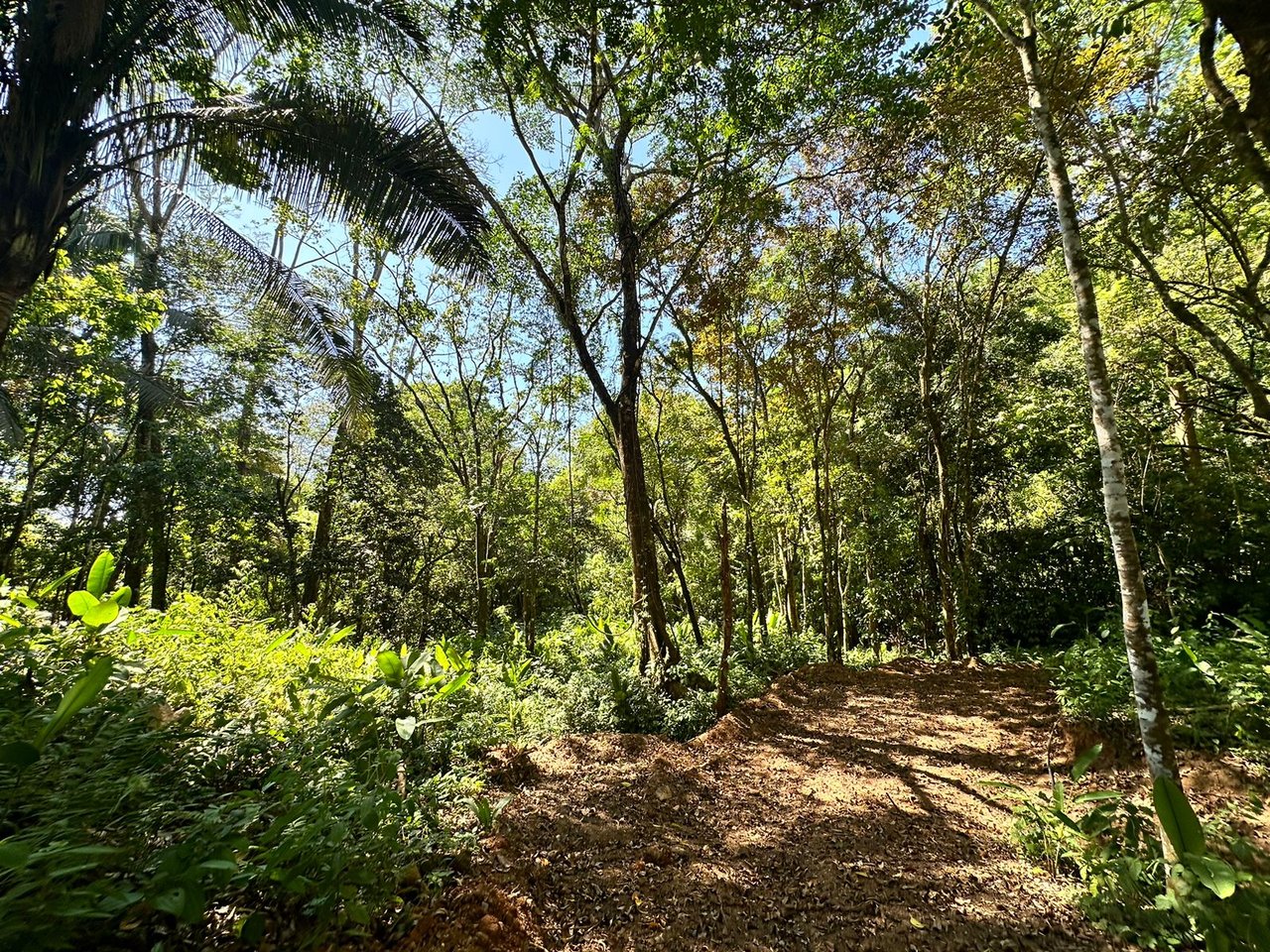 Your Dream Coastal Retreat Awaits: Prime Investment Opportunity in Playa Hermosa, Bahía Ballena