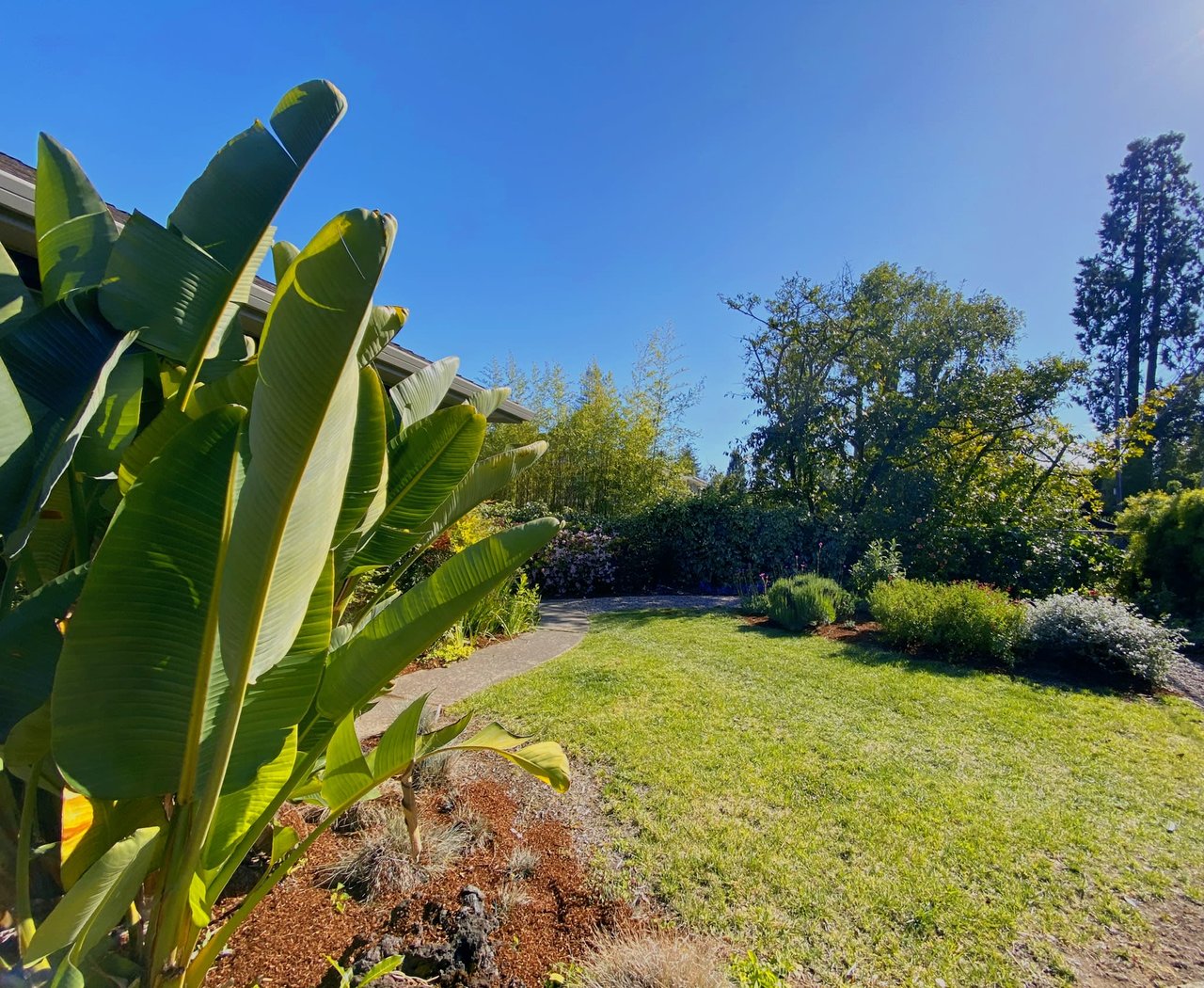 228 Mountain View Avenue, San Rafael