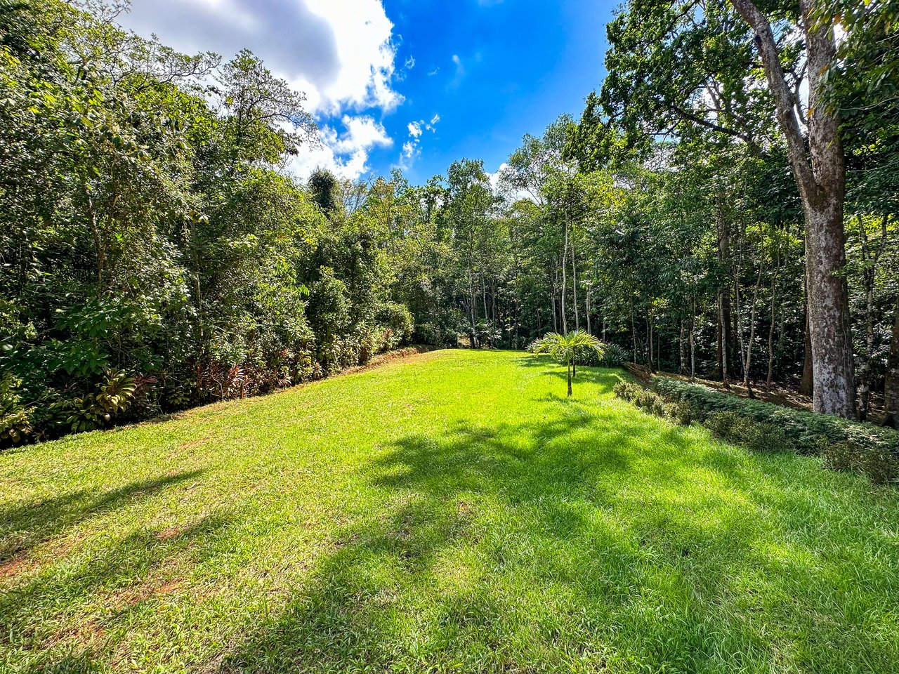 Elevated 2.2 Acres Jungle And Creek-Fronting Mountain View Lot In Ojochal
