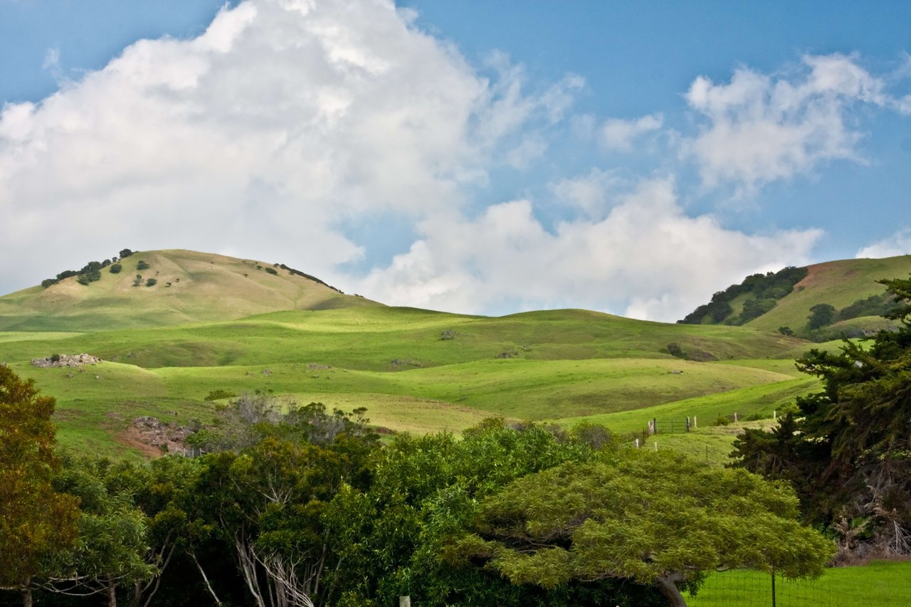 Honest Pros and Cons of Living in Waimea