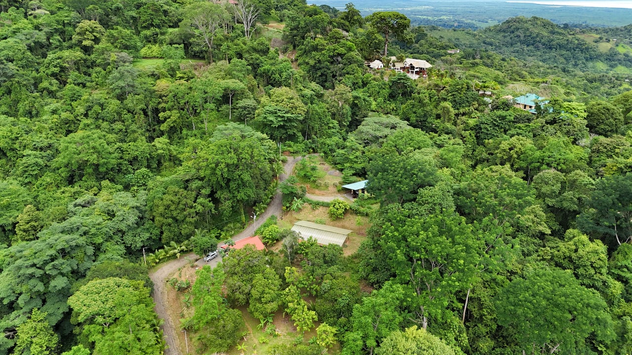 Multi-Home Luxury Estate, With Jungle, Mountain And Ocean Views, Private Waterfalls And Orchards On 71 Acres In Gated Community!