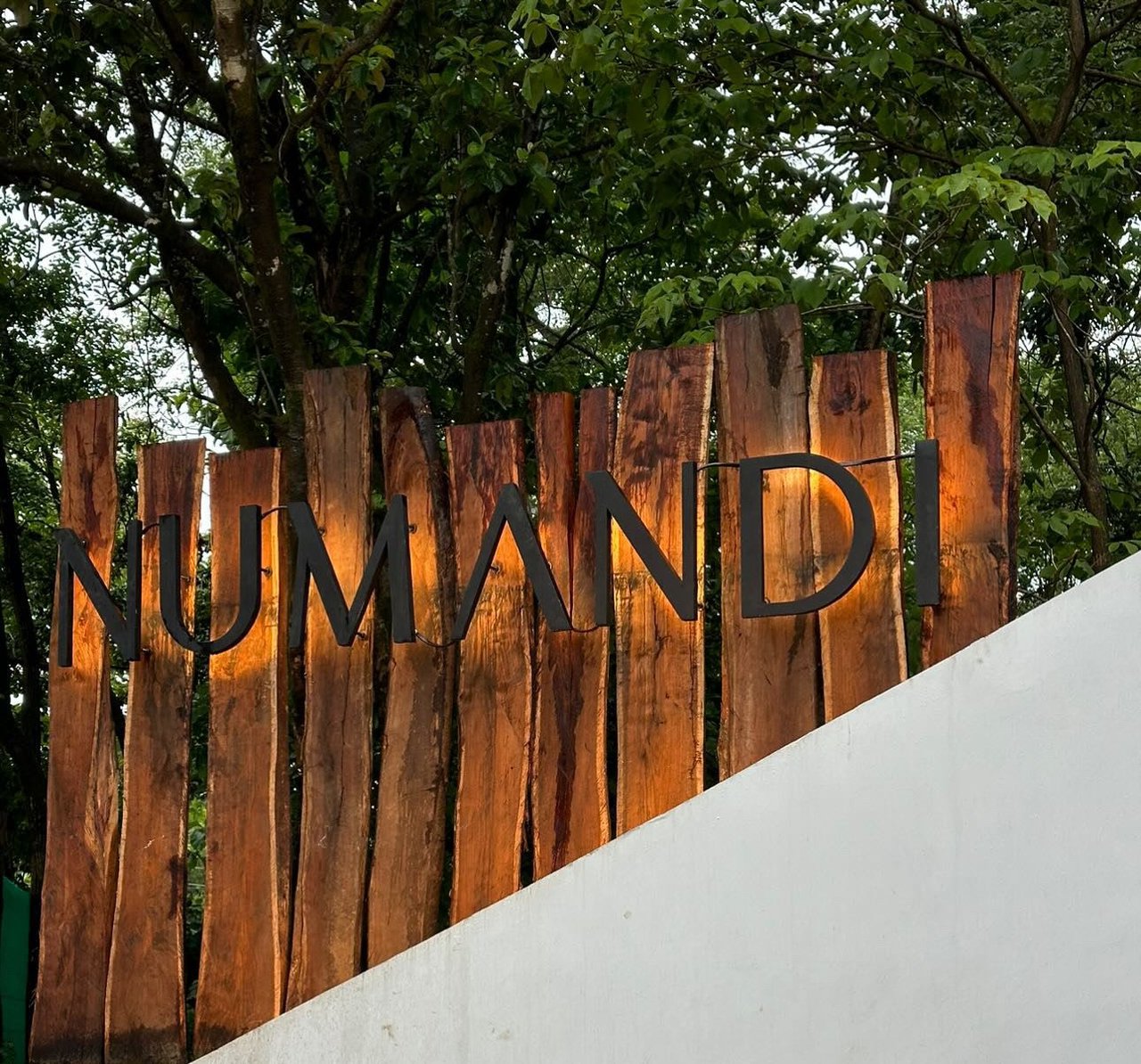 NUMANDI HOMESITE 41 | Welcome to your dream escape at Numandi, Playa Avellanas!