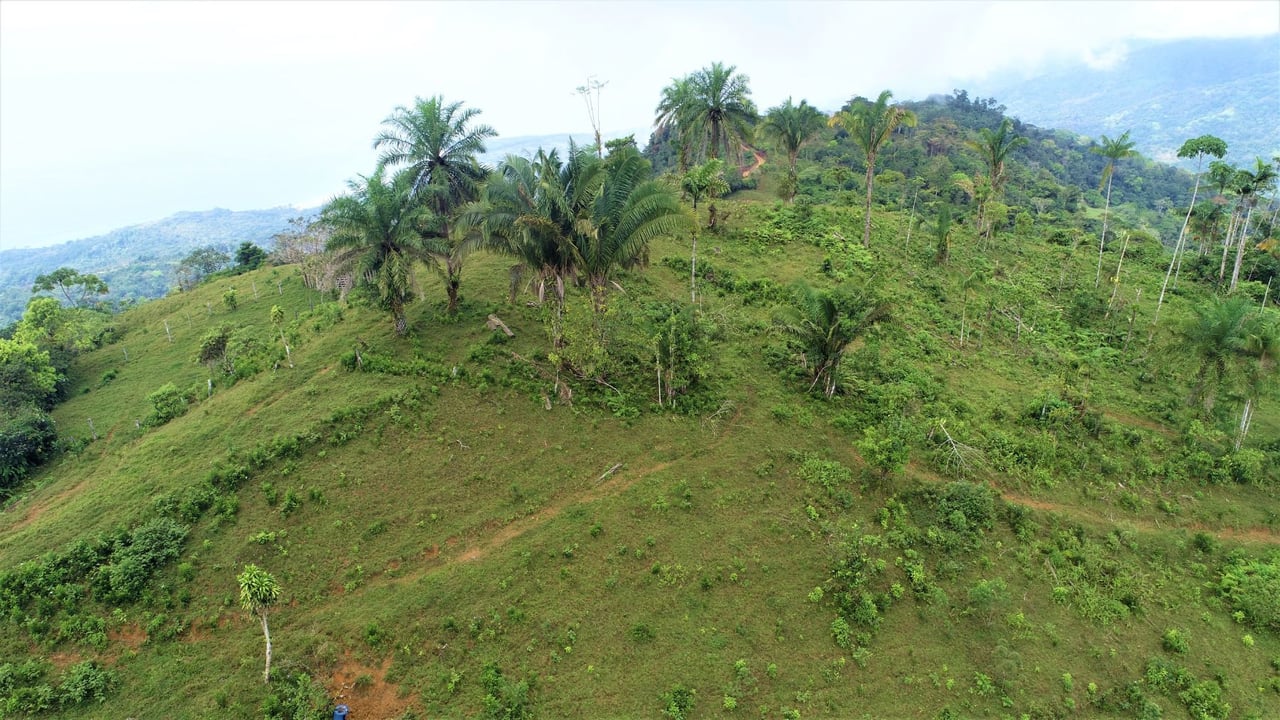 Ocean View Development Farms, Uvita, Puntarenas
