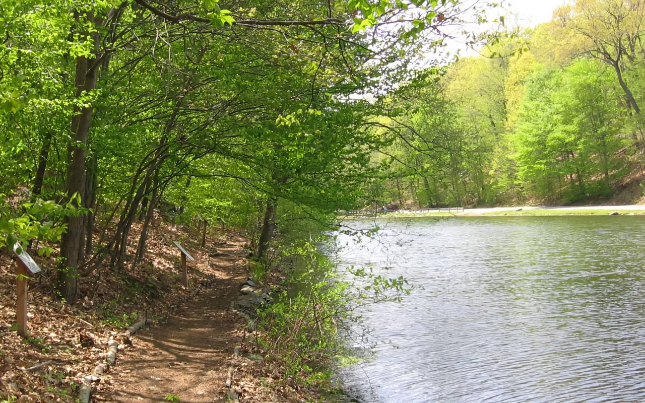 Hiking in Chappaqua, NY