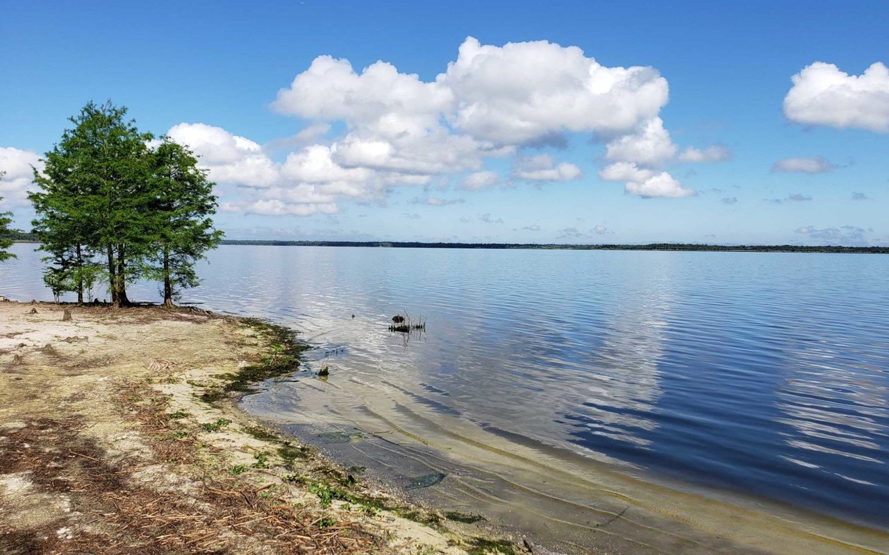 Winter Springs