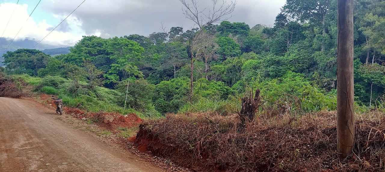 7.6 Acres Calle Camaron Platanillo