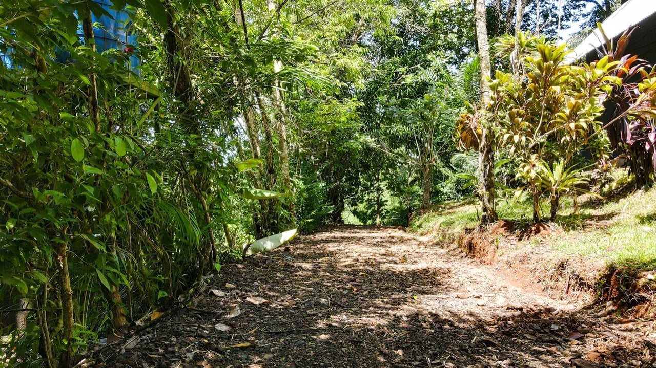 Luxurious Private Rainforest Estate On Acreage With Creek