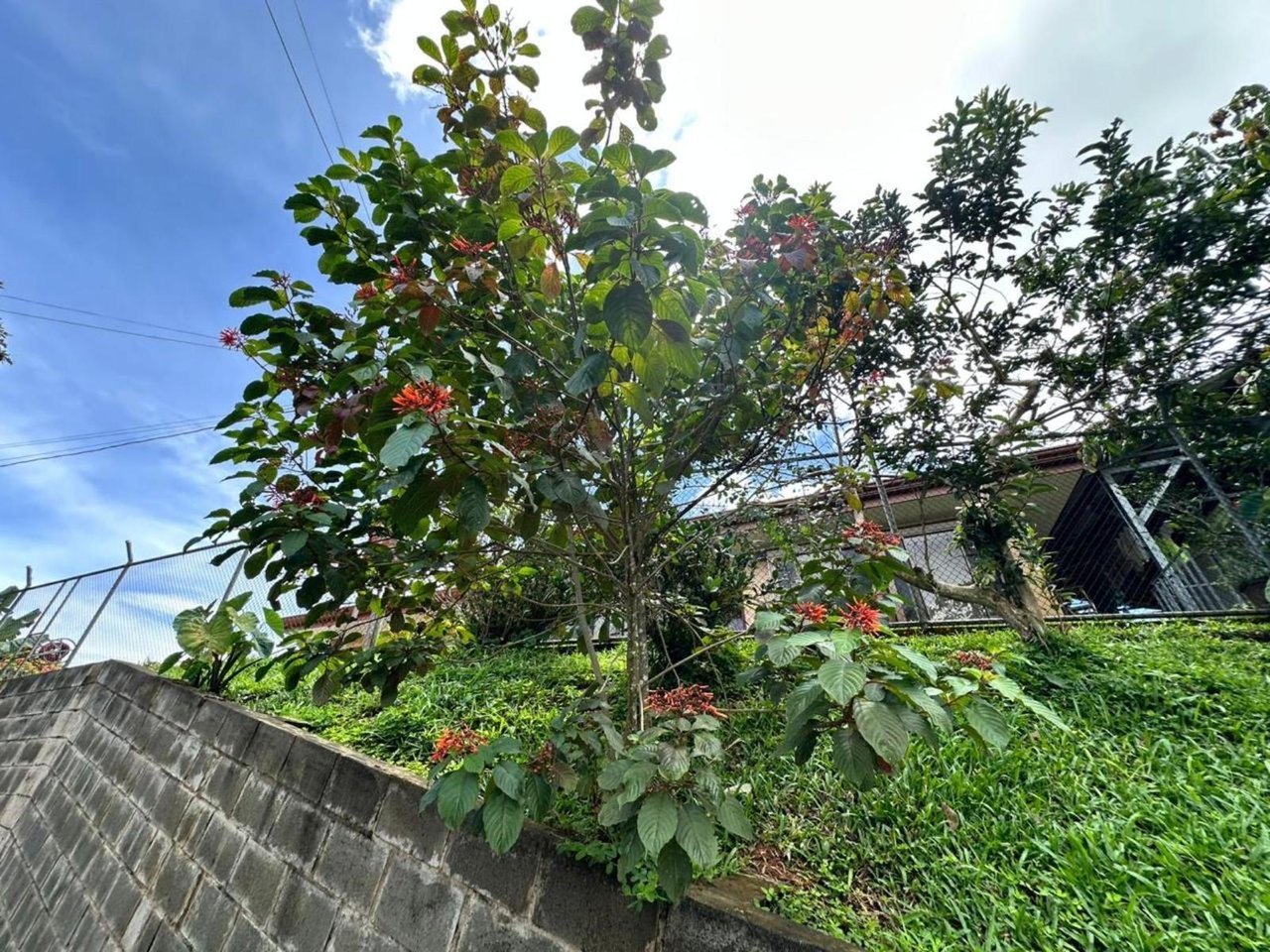 Waterfall Eco Hotel Estate, Perez Zeledon, San Jose