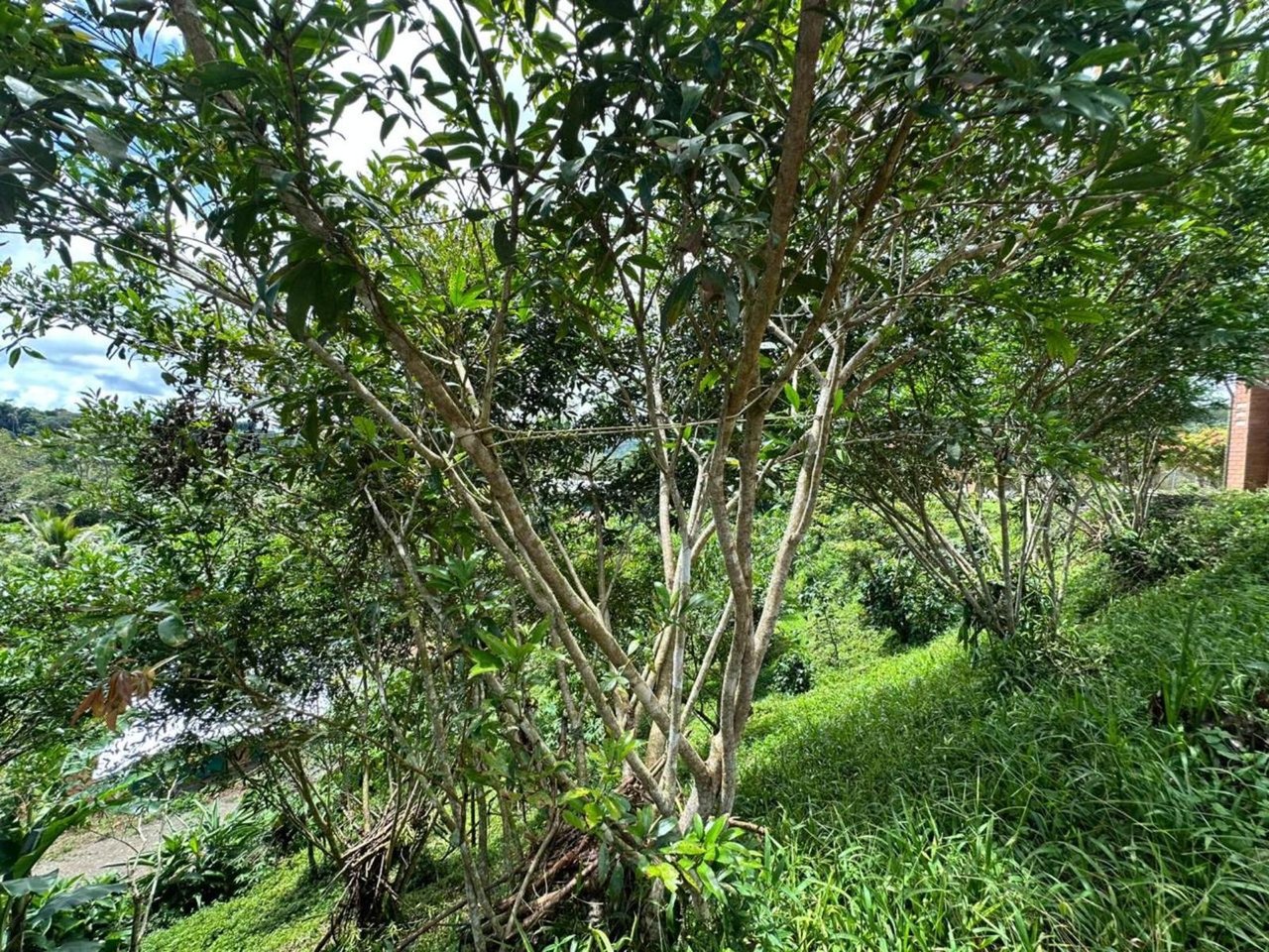 Waterfall Eco Hotel Estate, Perez Zeledon, San Jose