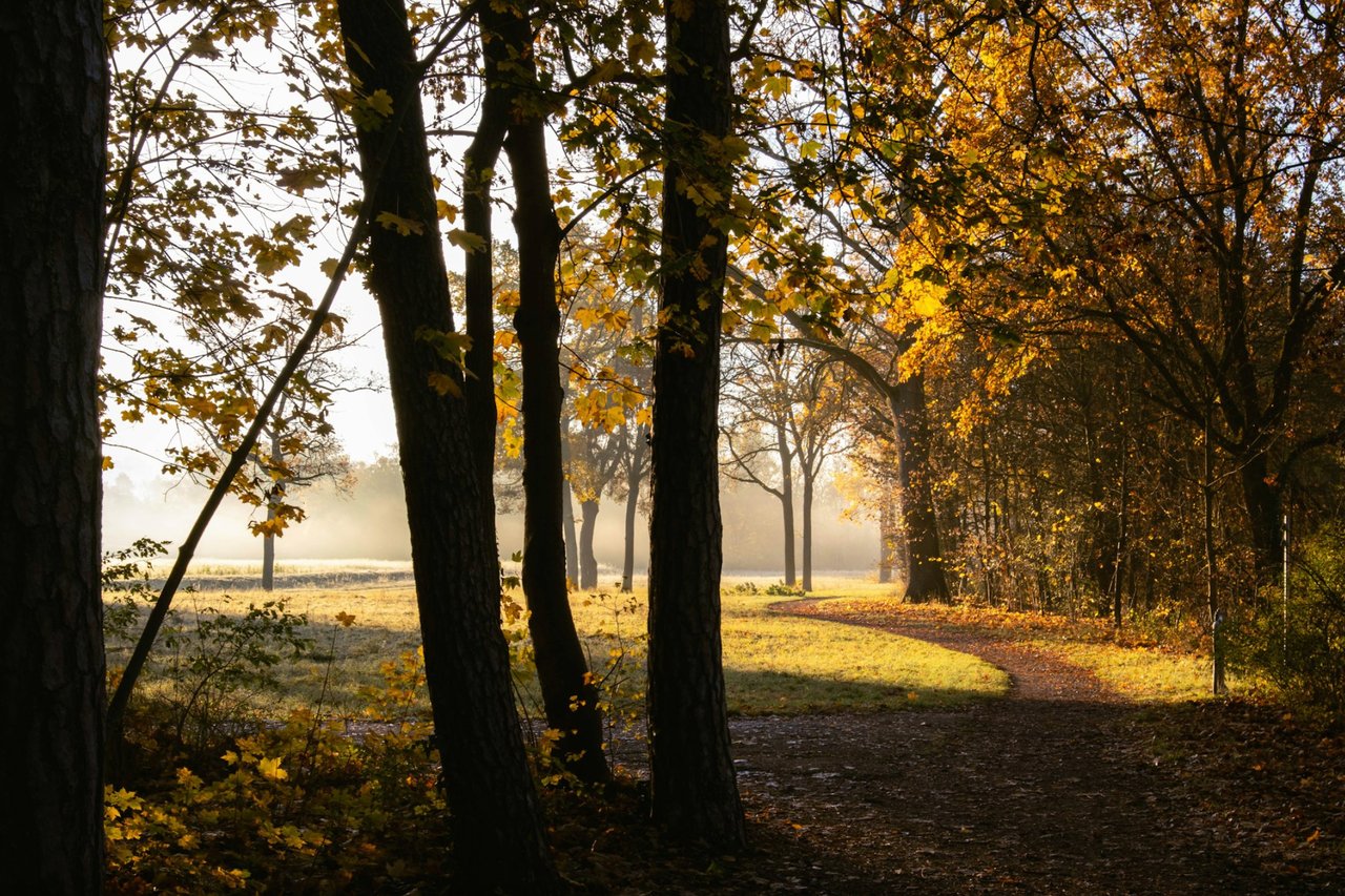 OCTOBER IN ST. CHARLES