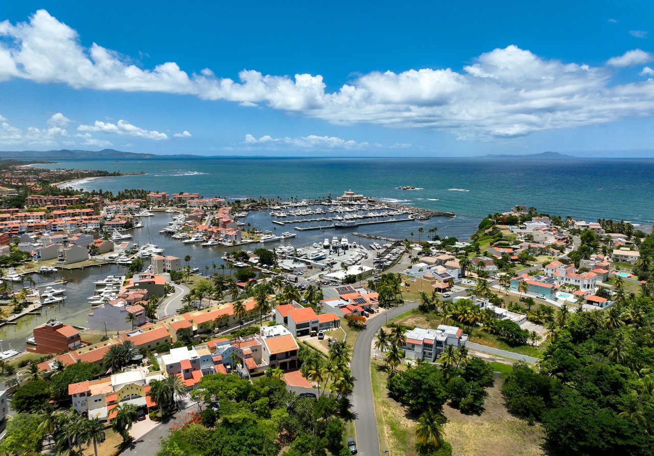 Palmas del Mar